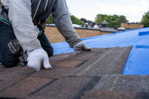 Best New Roof Installation  in Leslie, MI